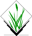 GRASS Logo